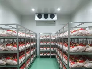 Cold Storage Room Freezers for Meat
